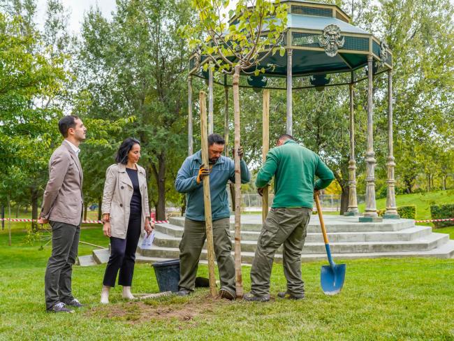 El alcalde, Alejandro Navarro Prieto y la concejala de Medio Ambiente, Esperanza Fernández, visitando la plantación de los árboles