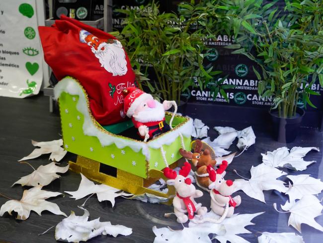 Premio especial del Jurado con una dotación de 150 euros y diploma al titular del comercio Cannabis Store Amsterdam situado en C/ Grandos, 11