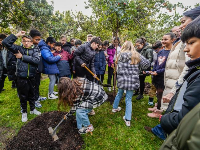 El alcalde, Alejandro Navarro Prieto, la concejala de Medio Ambiente, Esperanza Fernández, y alumnos del CEIP Buen Gobernador plantado el madroño 45 del Parque Constitución
