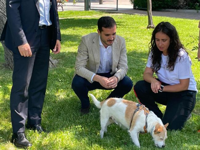 “Comparte paseos”