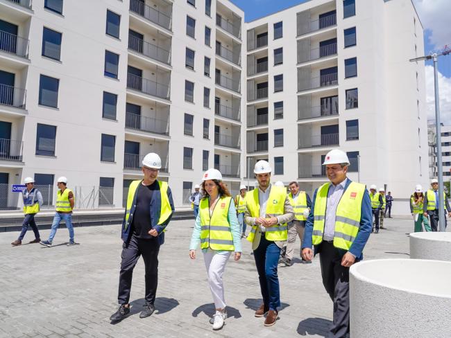 Plan Vive en Torrejón de Ardoz