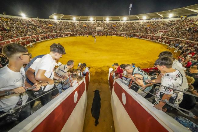 Fiestas Populares Torrejón de Ardoz 2024 - Feria Taurina