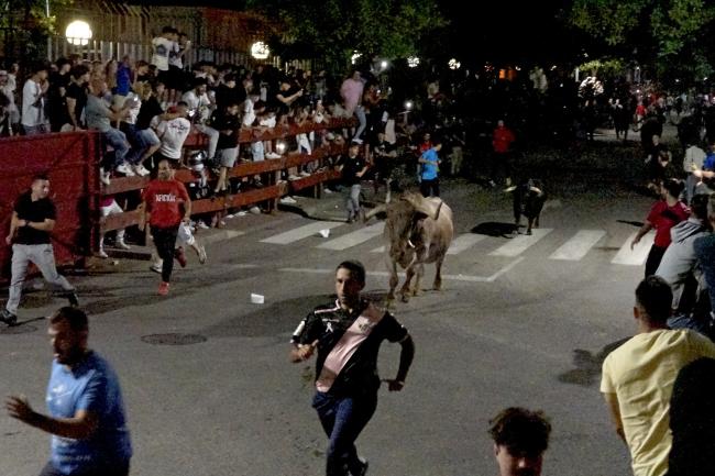 Fiestas Populares Torrejón de Ardoz 2024 - Feria Taurina