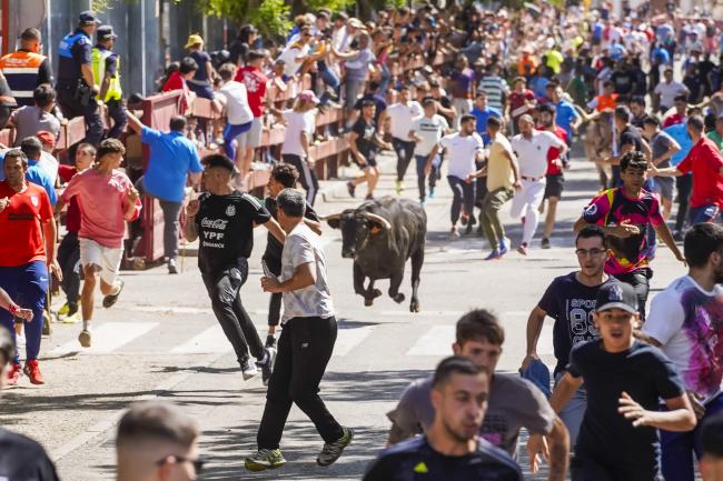 Fiestas Populares Torrejón de Ardoz 2024 - Feria Taurina
