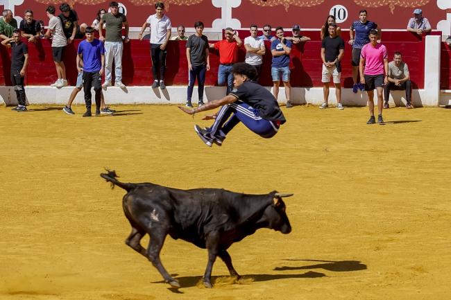 Fiestas Populares Torrejón de Ardoz 2024 - Feria Taurina