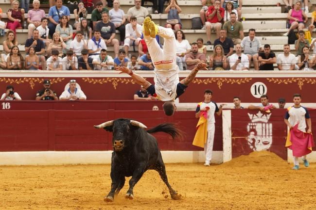 Fiestas Populares Torrejón de Ardoz 2024 - Feria Taurina