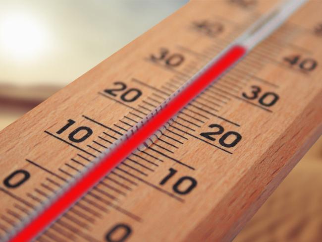 Ola calor