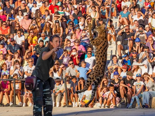14º Aniversario del Parque Europa - Animales de Fauna Aventura