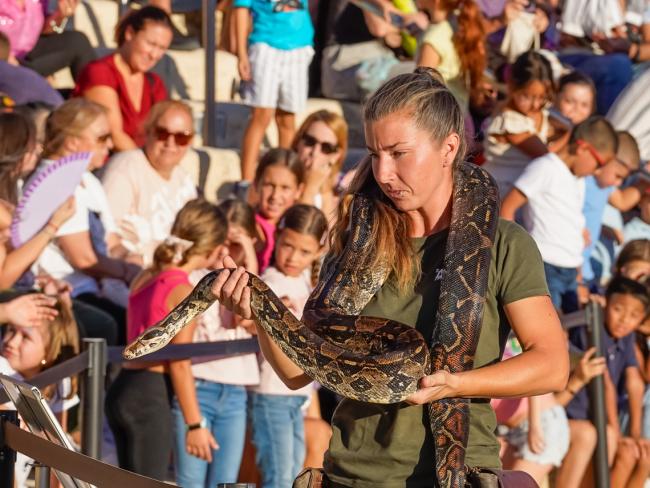 14º Aniversario del Parque Europa - Animales de Fauna Aventura