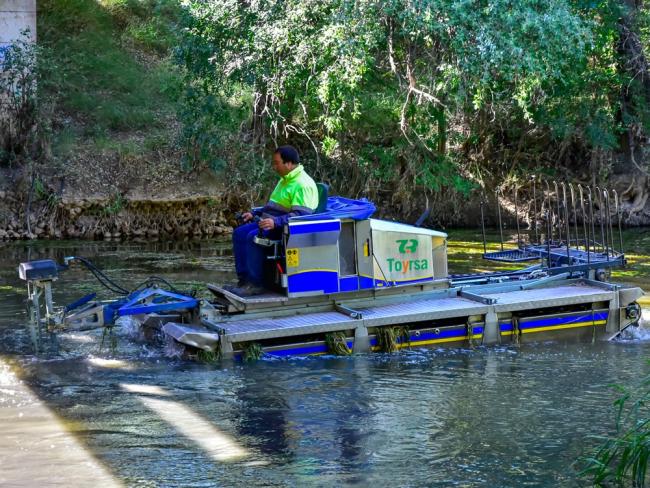 El barco anfibio, uno de los pocos que hay en España que corta las plantas acuáticas donde anidan los mosquitos