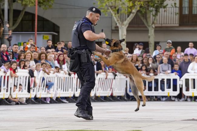 Fiestas Patronales 2024 - Exhibición Grupo Canino de la Policía Local