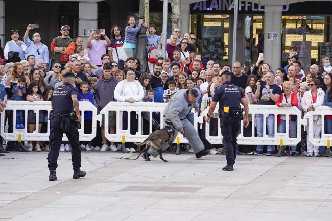Fiestas Patronales 2024 - Exhibición Grupo Canino de la Policía Local