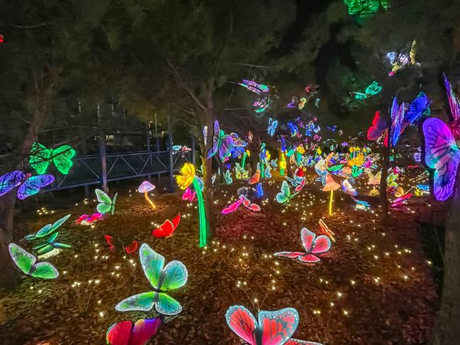 Parque Mágicas Navidades - Festival de Linternas Asia
