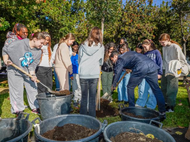 El alcalde, Alejandro Navarro Prieto colaborando en la plantación del árbol 45 del Parque Constitución