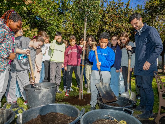 Alumnos de 6º de primaria del Gabriel y Galán colaborando en la plantación
