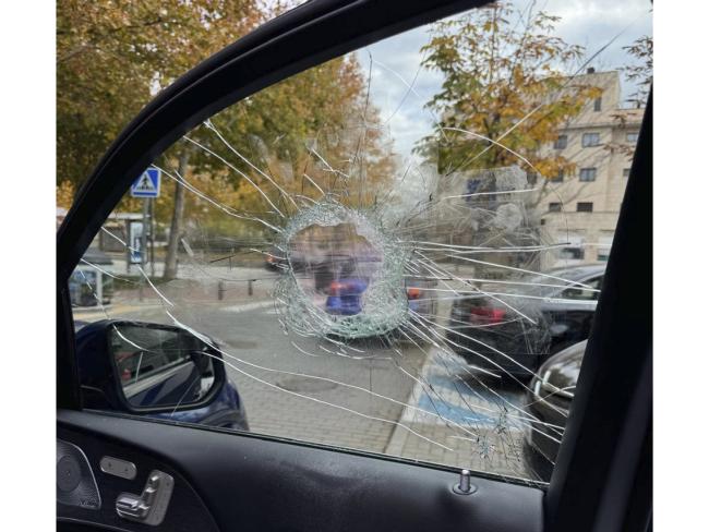 Los efectivos policiales con la autorización de la propietaria procedieron a romper la ventanilla delantera con extremo cuidado para que los animales no sufrieran daño alguno