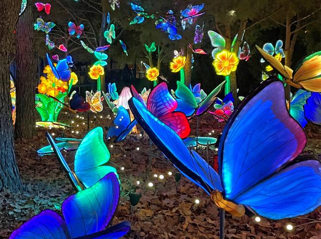 Parque Mágicas Navidades 