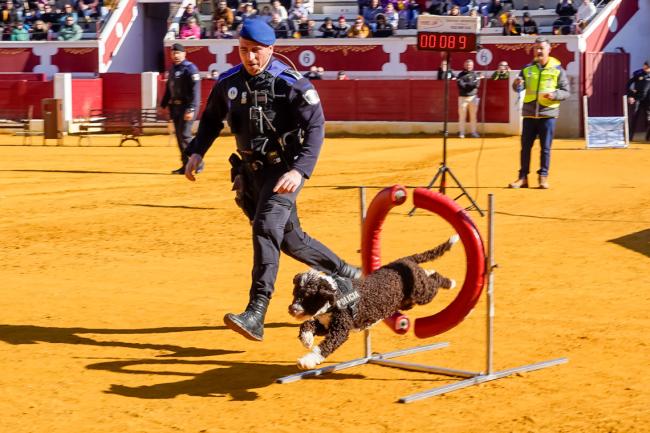 Día de la Tortilla 2025 - Exhibición del Grupo Canino de la Policía Local
