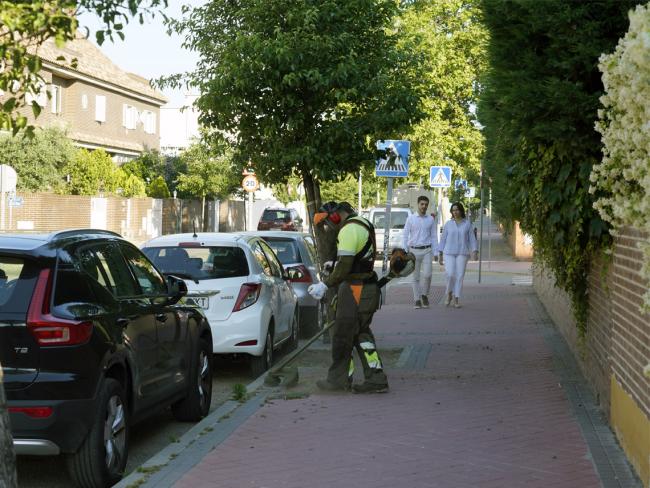 Barrio de Fresnos