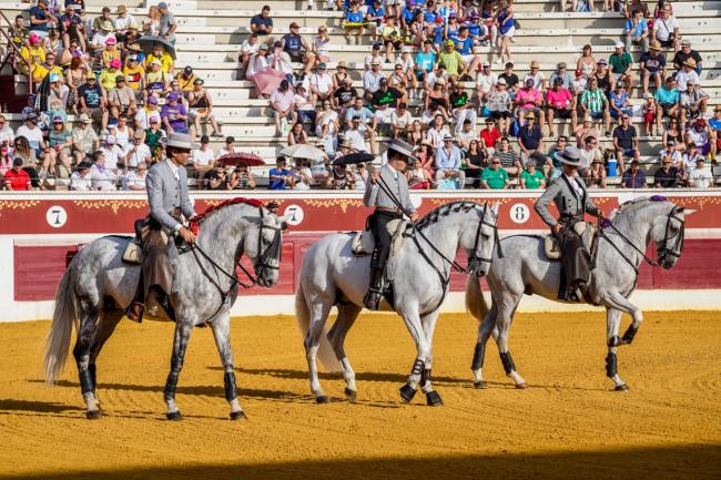 Fiestas Populares 2025 - Feria Taurina