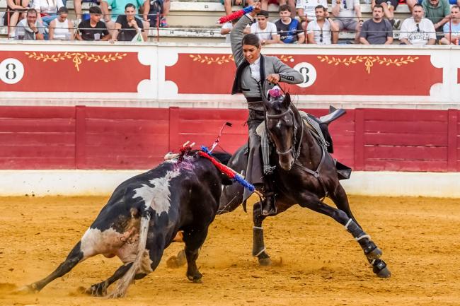 Fiestas Populares 2025 - Feria Taurina