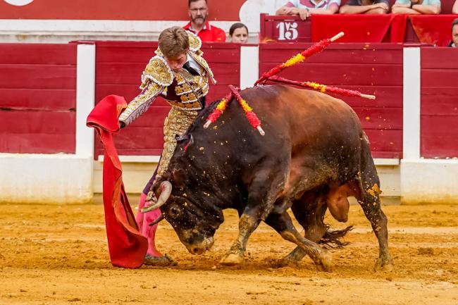 Fiestas Populares 2025 - Feria Taurina