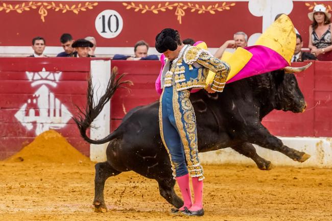 Fiestas Populares 2025 - Feria Taurina
