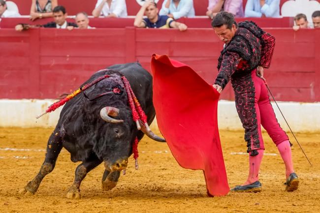 Fiestas Populares 2025 - Feria Taurina