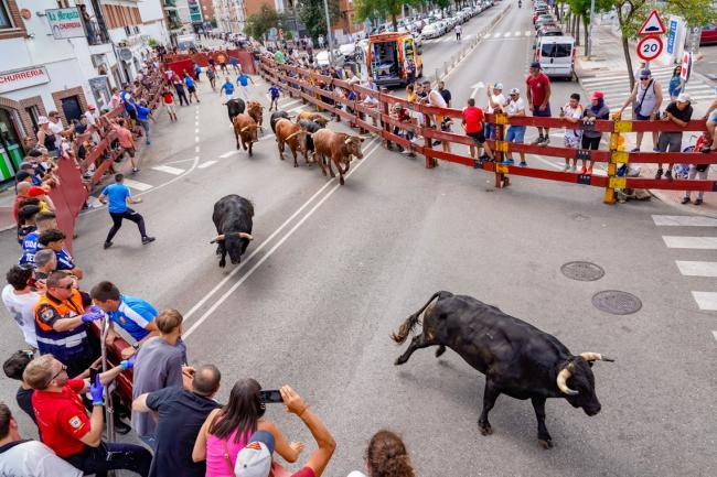Fiestas Populares 2025 - Encierros