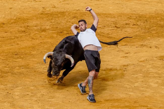 Fiestas Populares 2025 - Feria Taurina