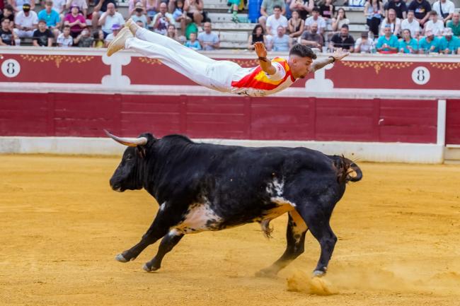 Fiestas Populares 2025 - Feria Taurina