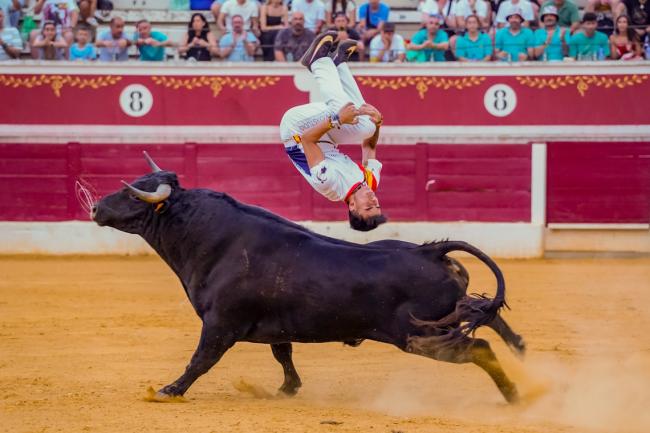 Fiestas Populares 2025 - Feria Taurina