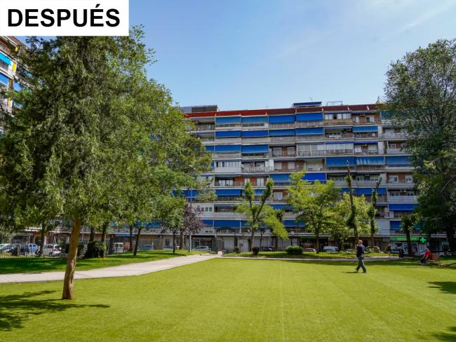 Parque de las Estrellas