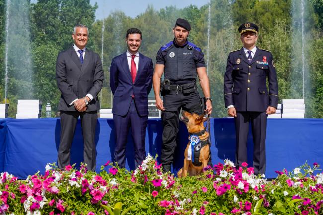 Diploma al perro GEO