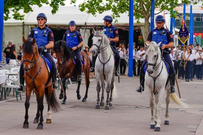 Escuadrón de policía a caballo 