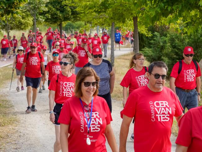 Cerca de 600 personas recorrieron la última etapa del Camino de Cervantes