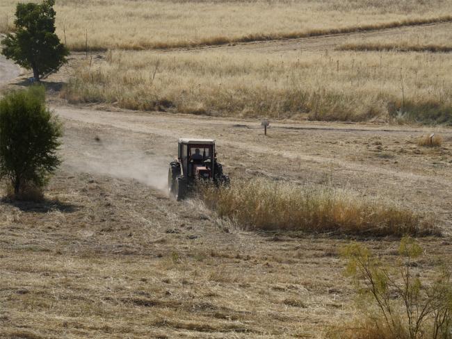 Los trabajos de desbroce también cuentan con la ayuda de tractores
