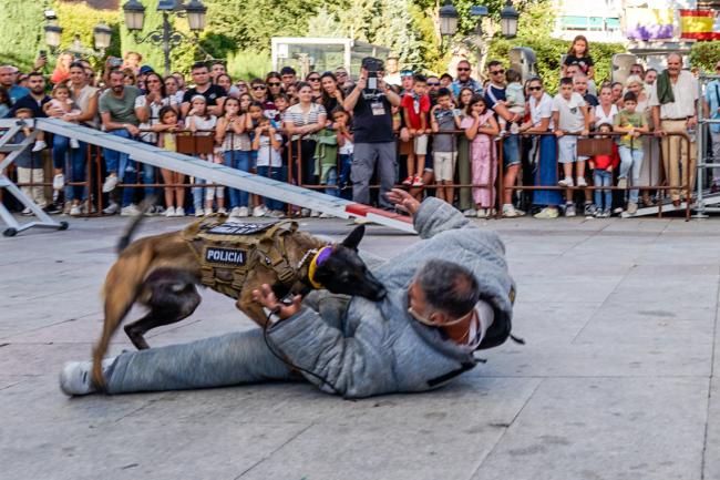 Fiestas Patronales 2025 - Exhibición del Grupo Canino de la Policía Local