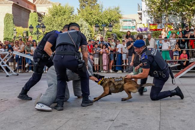 Fiestas Patronales 2025 - Exhibición del Grupo Canino de la Policía Local