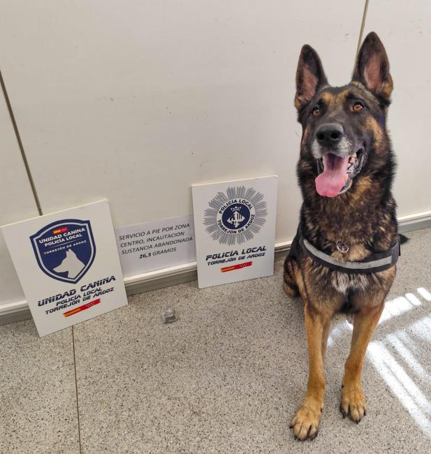 La Unidad Canina de la Policía Local de Torrejón de Ardoz realizó, el pasado verano, 13 incautaciones de sustancias estupefacientes en las piscinas municipales