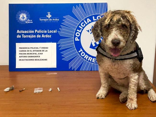 La Unidad Canina de la Policía Local de Torrejón de Ardoz realizó, el pasado verano, 13 incautaciones de sustancias estupefacientes en las piscinas municipales
