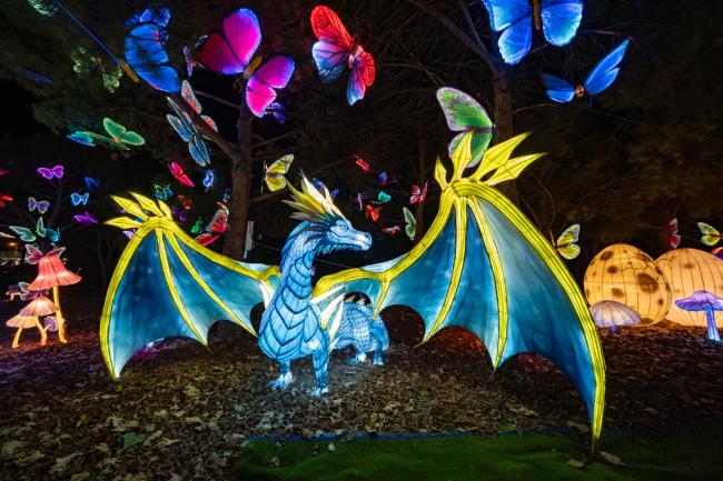 Explora un mundo de ensueño, donde animales brillantes iluminan la noche