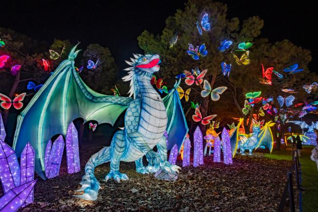 Explora un mundo de ensueño, donde animales brillantes iluminan la noche