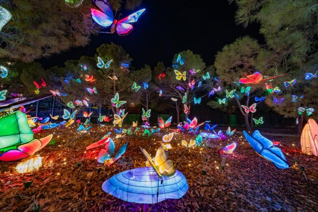 Explora un mundo de ensueño, donde animales brillantes iluminan la noche