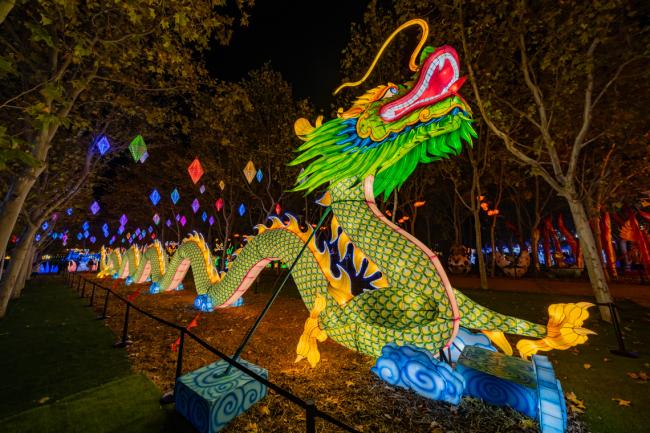Explora un mundo de ensueño, donde animales brillantes iluminan la noche