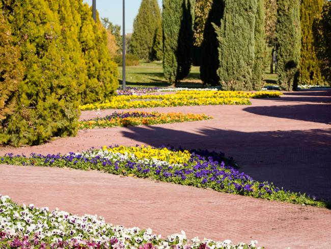 Con la reforma integral de los Jardines Torre Eiffel, situados en el Parque Europa, ya son 130 los parques nuevos o reformados por el equipo de Gobierno local en Torrejón de Ardoz