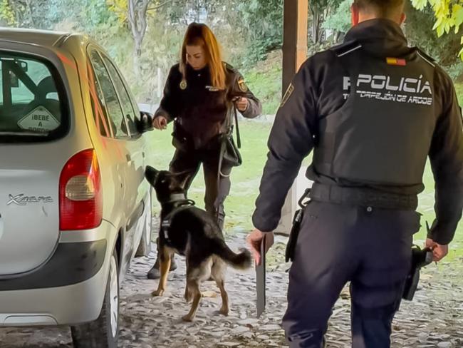 Los participantes llevaron a cabo distintos ejercicios centrados en la detección y rastreo de sustancias estupefacientes