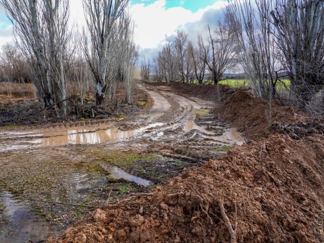   El dique de tierra, de 300 metros de longitud, tiene una altura que oscila entre 1 metro y 1 metro y medio