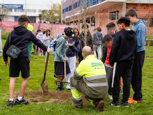 Escolares plantando árboles bajo la supervisión de los jardineros municipales