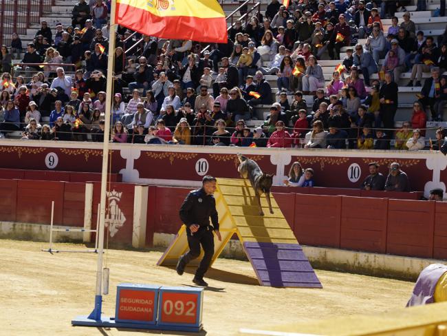 Exhibición en la Plaza de Toros de las unidades caninas de los principales Cuerpos Policiales y Militares de España